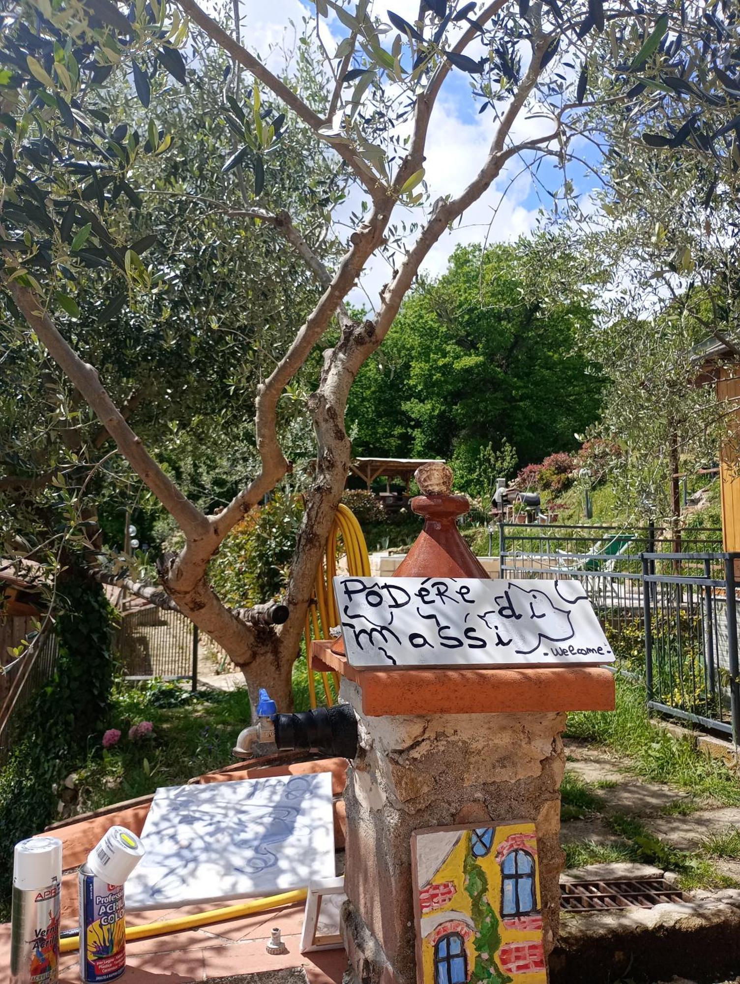ברברינו די מוג'לו Casetta Nel Podere Di Massi מראה חיצוני תמונה