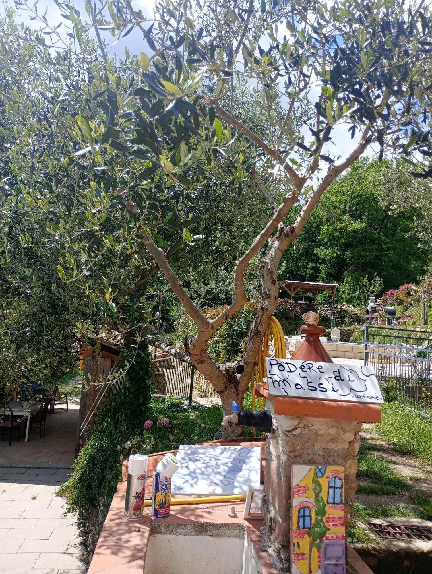 ברברינו די מוג'לו Casetta Nel Podere Di Massi מראה חיצוני תמונה